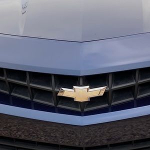 Meet your Posher, Freddy